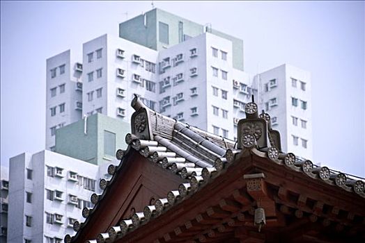 香港,山,女修道院,风格,佛教,对比,新,不动产,建筑