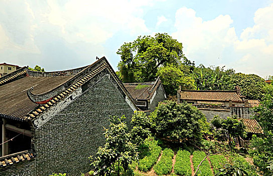 黄埔长洲岛深井古村