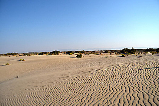 沙,沙漠,撒哈拉沙漠,突尼斯,非洲