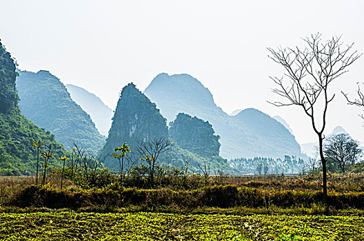 美丽山川