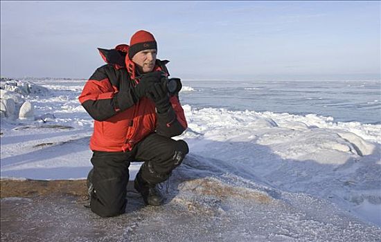摄影师,哈得逊湾,海岸,北极,苔原