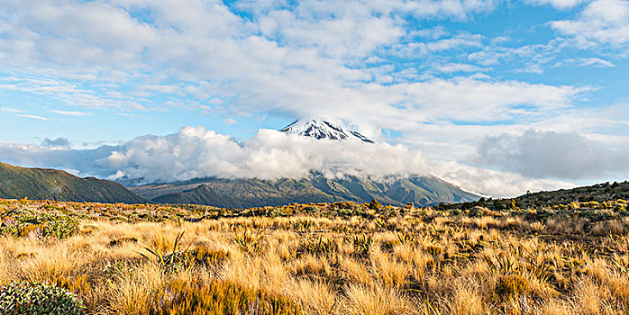 层状火山,塔拉纳基,云,艾格蒙特国家公园,新西兰,大洋洲