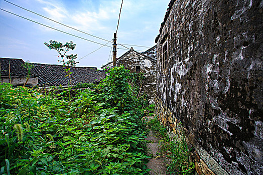 东钱湖,老房子,废弃,建筑,藤蔓,民居