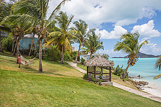 棕榈树,花园,围绕,加勒比海,海滩,石头,安提瓜和巴布达,岛屿,西印度群岛