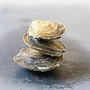 牡蛎,布列塔尼半岛