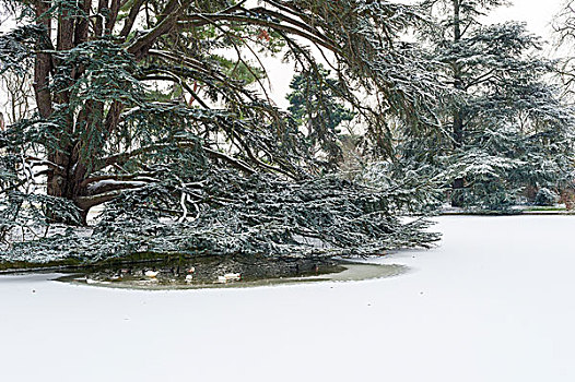 parcdesaint-cloud,克鲁德公园