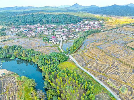 江西金溪,生态乡村,风景如画