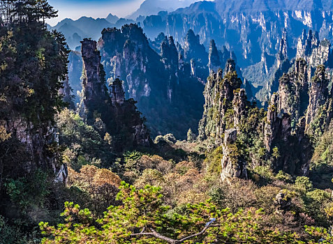 湖南省张家界市武陵源天子山景区自然景观