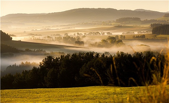 秋景,雾,舒马瓦山区,捷克共和国