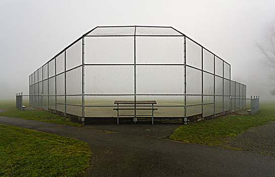 棒球,地点,雾状,公园
