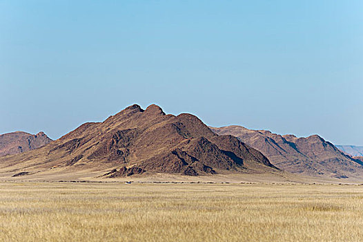 荒野,自然保护区,纳米布沙漠,纳米比亚