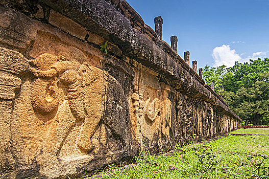 雕刻,石头,大象,会议室,世界,文化遗产,城市,波隆纳鲁沃古城,斯里兰卡