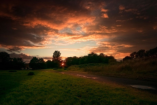 日落,公园,考文垂,英国