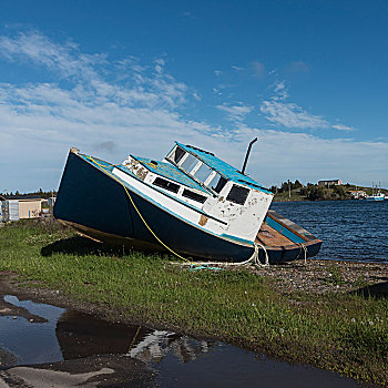 渔船,港口,布雷顿角岛,新斯科舍省,加拿大