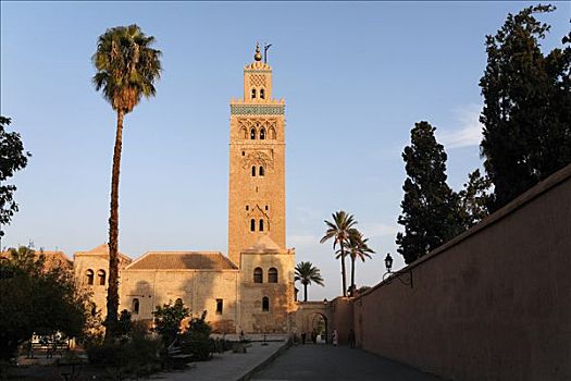 尖塔,库图比亚清真寺,清真寺,棕榈树,玛拉喀什,摩洛哥,非洲