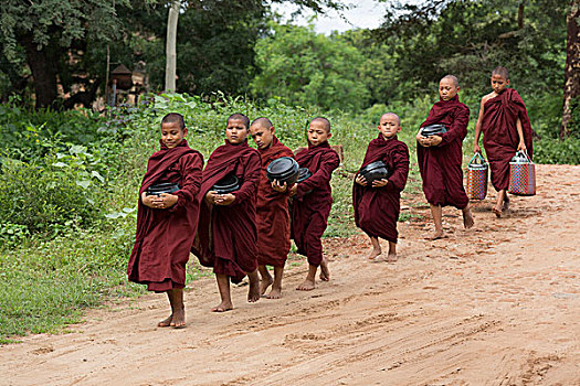 缅甸,蒲甘,区域,年轻,僧侣,走,城镇,请求,器具,食物,供品