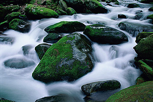 河流,石头,北卡罗来纳,美国