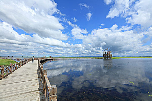 千鸟湖湿地