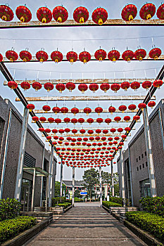 重庆巴南花木世界园林中的红灯笼