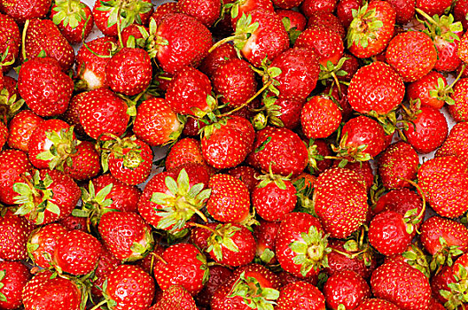 水果,概念,红色,草莓,放置,背景