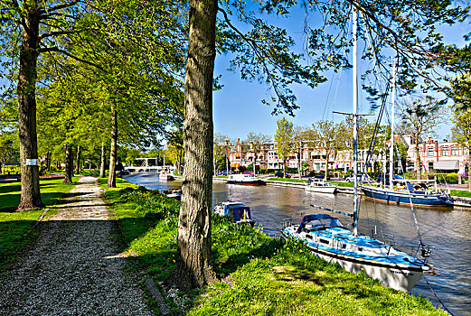 田园,运河,春天,弗里斯兰省,荷兰