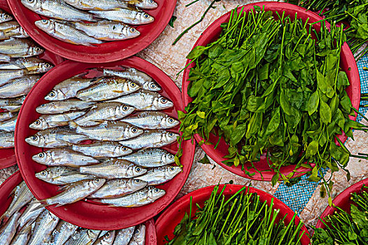 淡水鱼,药草,市场,万象,老挝
