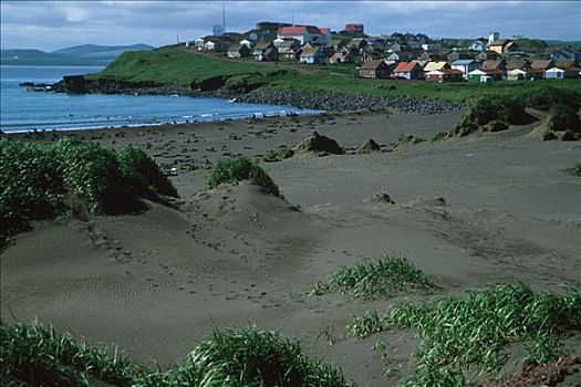 海滩,岛屿,夏天