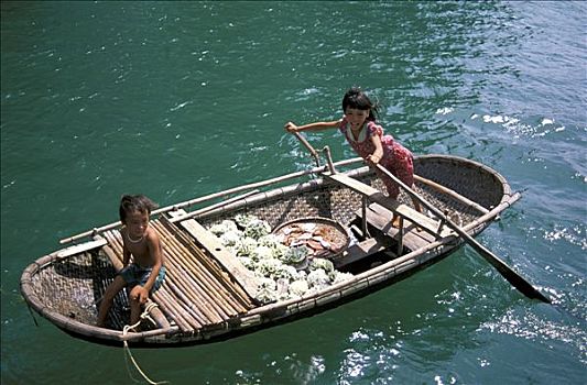 越南,湾,俯视图,两个孩子,工艺,珊瑚,女孩,划船,男孩,坐