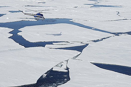 直升飞机,飞跃,浮冰,威德尔海,南极半岛,南极