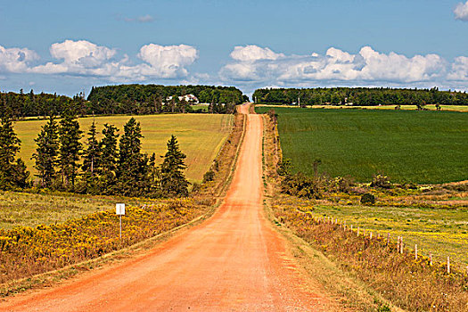 粘土,道路,爱德华王子岛,加拿大