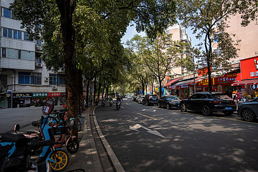 夏天阳光下羊城广州周末安静整洁的街道