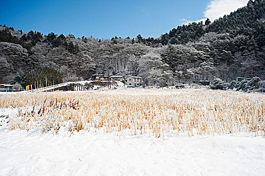 积雪,风景,湖,富士山,日本