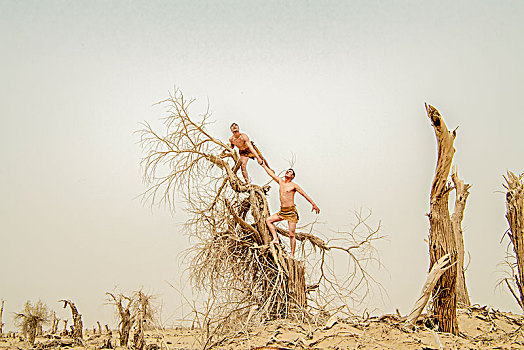 新疆,沙漠,枯树,男人,形体,姿式