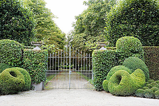 树篱,盒子,绿雕塑,花园,大门