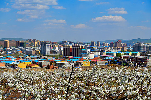 延吉市城区局部