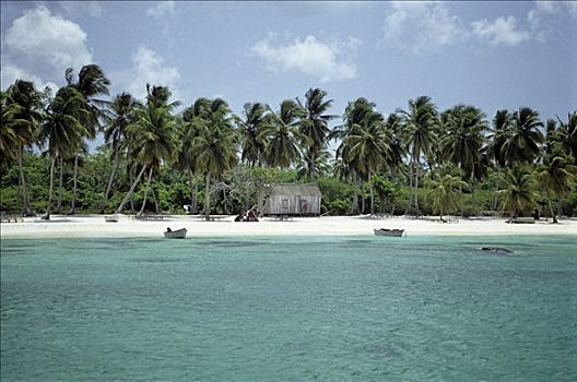小屋,棕榈海滩,多米尼加共和国