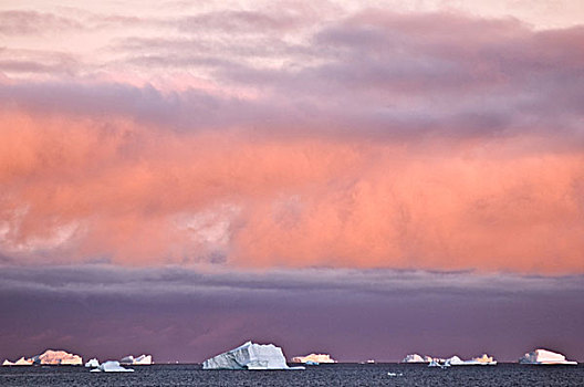 冰山,日出,约克角,西海岸,格陵兰