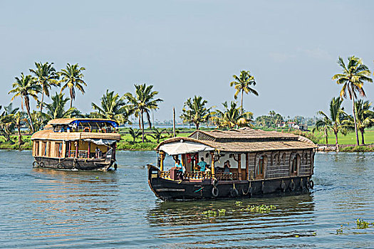 船屋,死水,运河,湖,喀拉拉,印度,亚洲