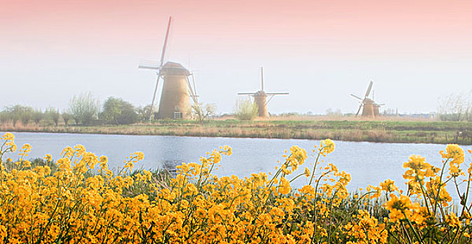 荷兰,小孩堤防风车村,风车,靠近,河流