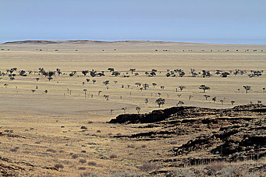 风景,纳米比沙漠,国家公园,纳米比亚