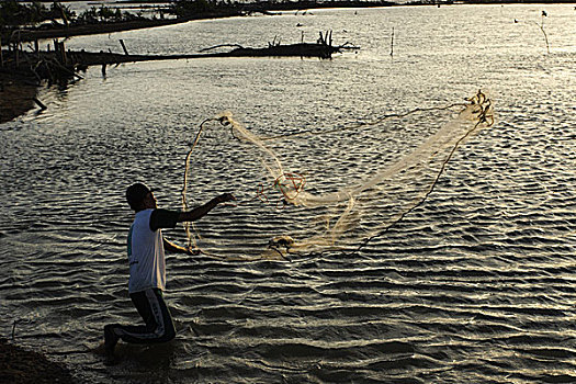 渔民,区域,红树,海啸,击打,十二月,2004年,印度尼西亚,七月,2007年