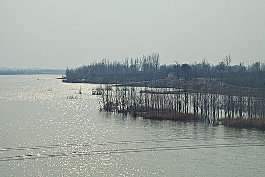 水泡,湖水,乡村,安静,野外,湿地,农村,北方