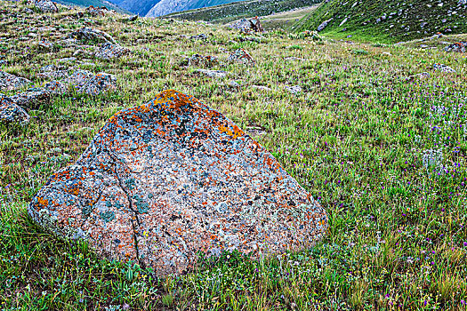 石头,苔藓,峡谷,区域,吉尔吉斯斯坦,亚洲