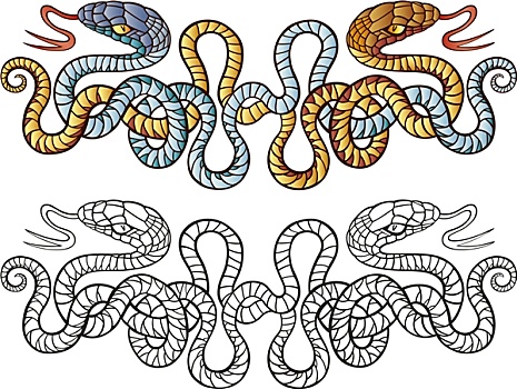 蛇,纹身,设计