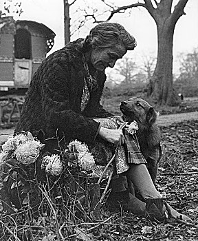 吉普赛,女人,狗,60年代