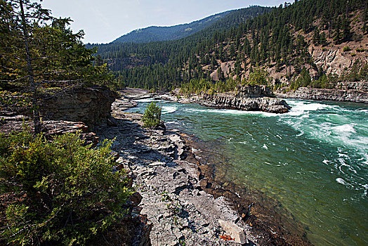 河,靠近,蒙大拿,省,美国,北美