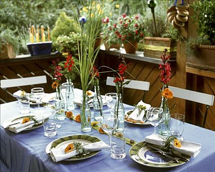 桌子,夏日聚会,花园派对