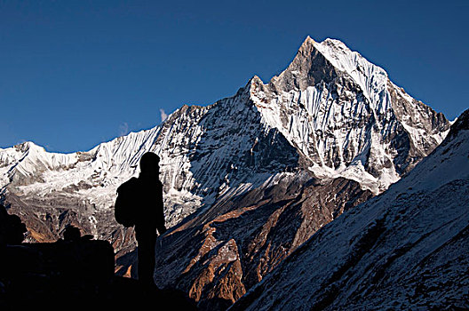 尼泊尔,安纳普尔纳峰,露营,剪影,长途旅行者,正面,神圣,山