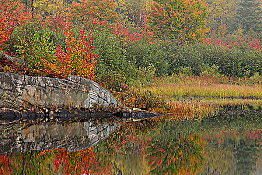 秋天,反射,溪流,萨德伯里,安大略省,加拿大