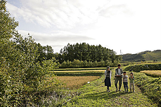 家庭,站立,农场,道路